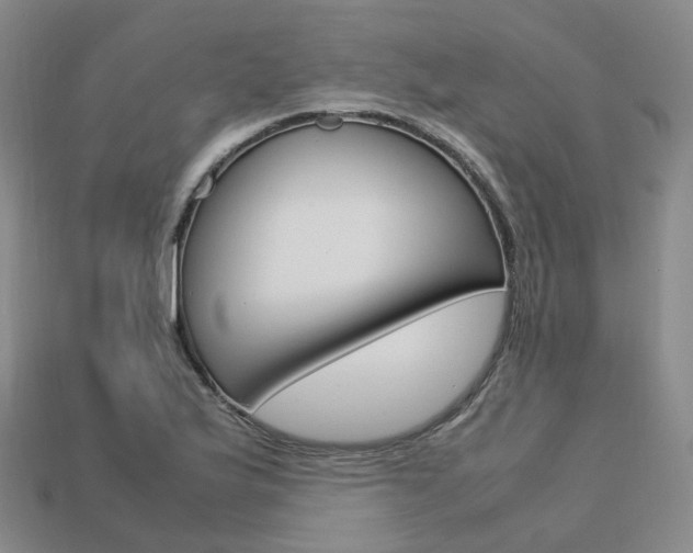 X0000113751175200909231000