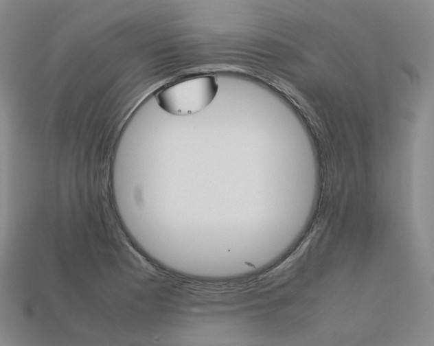 X0000113751177200909230959