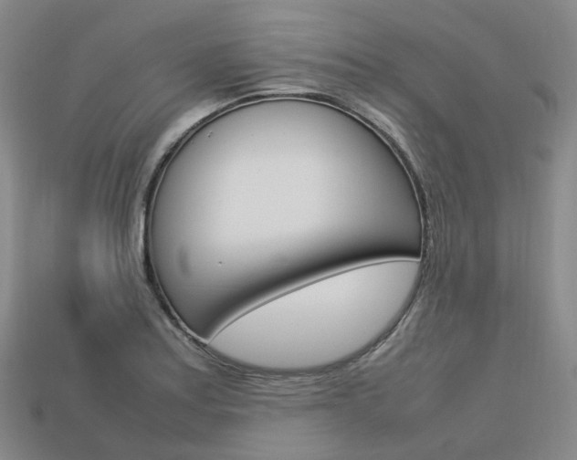 X0000113751179200909230959