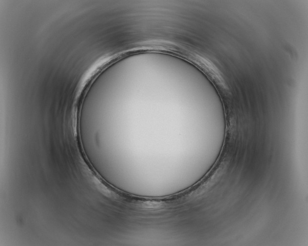 X0000113751180200909230959
