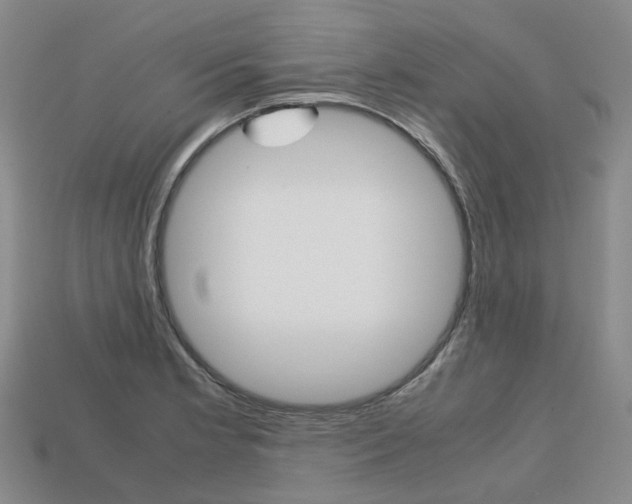 X0000113751181200909230959