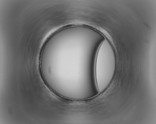 X0000113751183200909230959