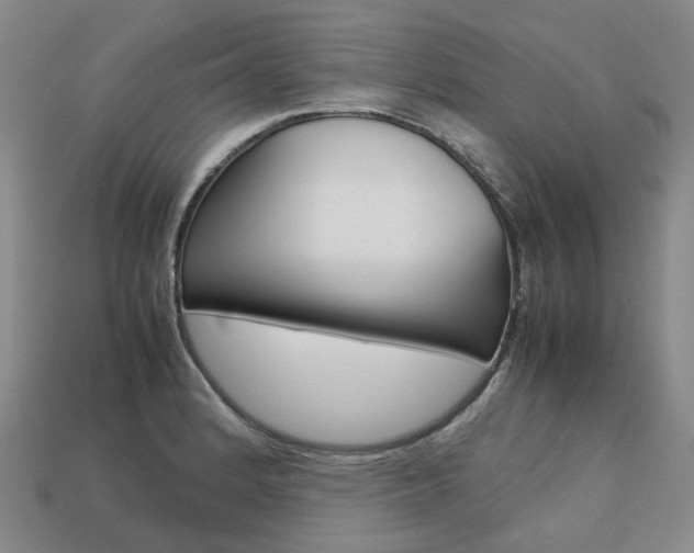 X0000113751184200909230959