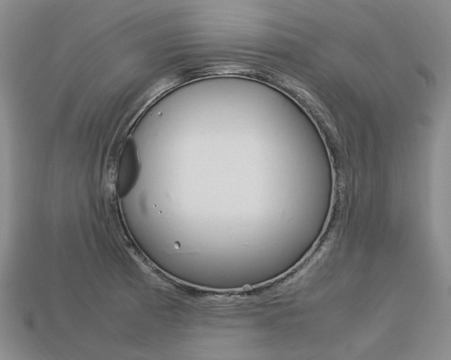 X0000113751185200909230959