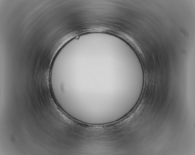 X0000113751186200909230959