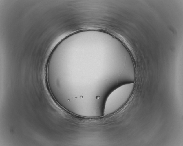 X0000113751187200909230959