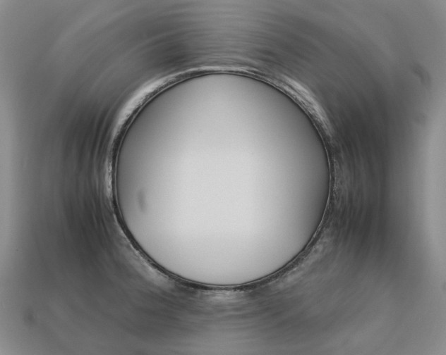 X0000113751188200909230959