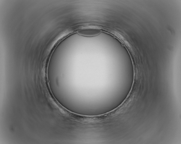 X0000113751189200909230959