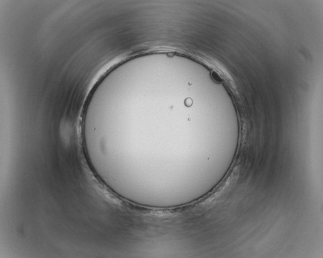 X0000113751190200909230959