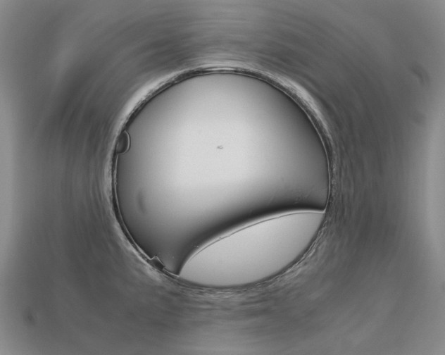 X0000113751191200909230959