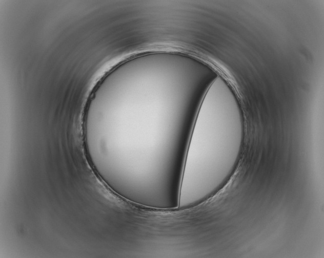 X0000113751192200909230959