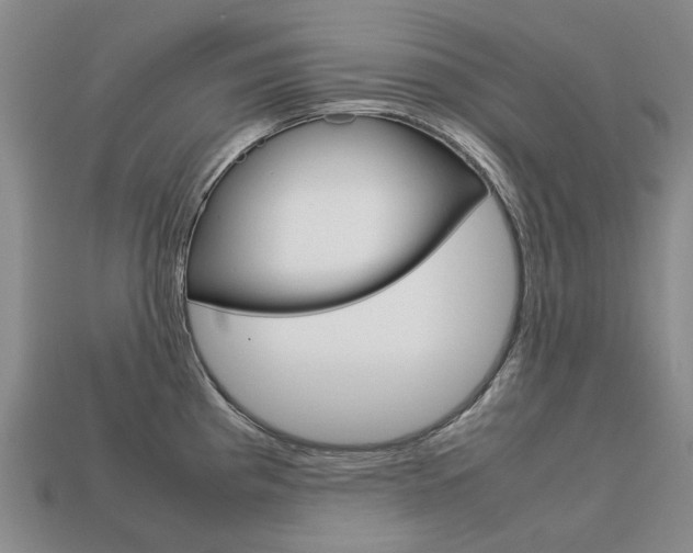 X0000113751193200909230959