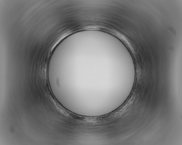X0000113751194200909230959