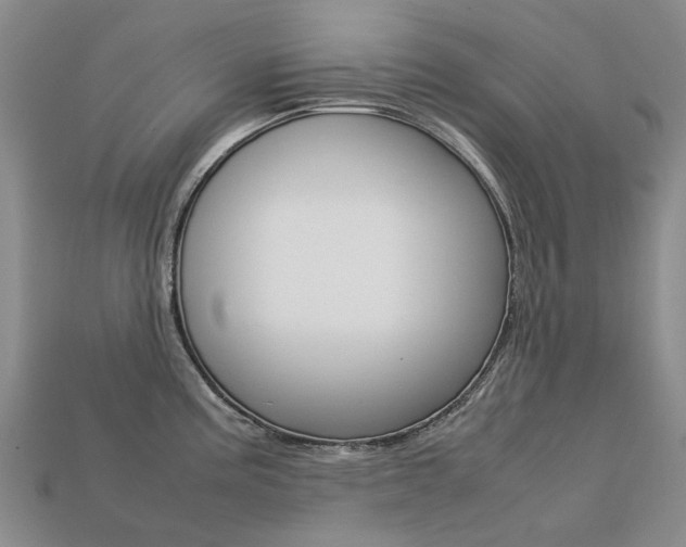 X0000113751195200909230959
