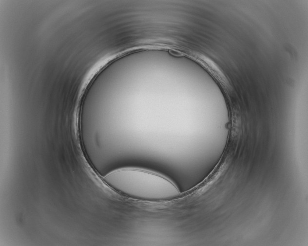 X0000113751196200909230959