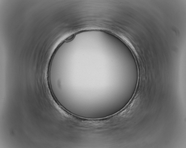 X0000113751197200909230959