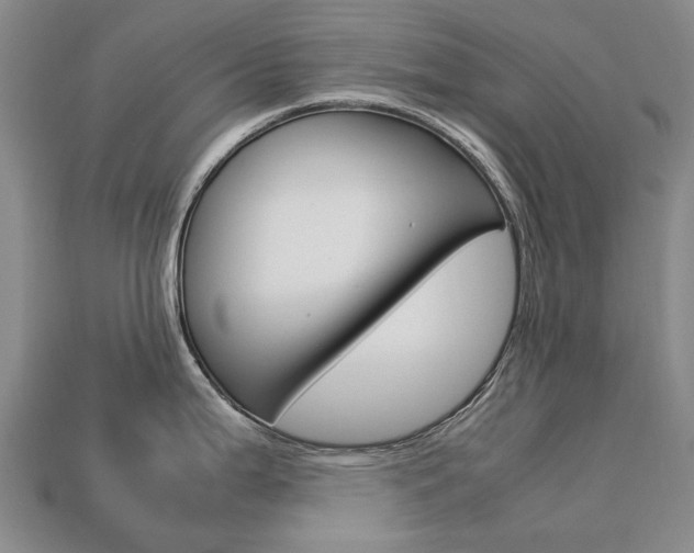 X0000113751199200909230959