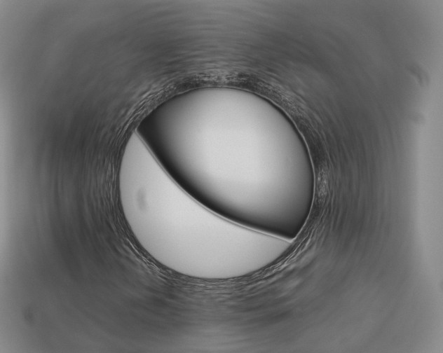X0000113751202200909230959