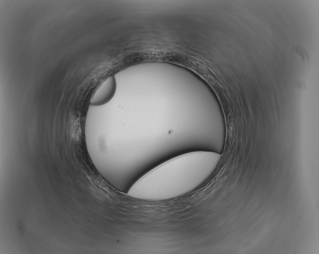 X0000113751204200909230959