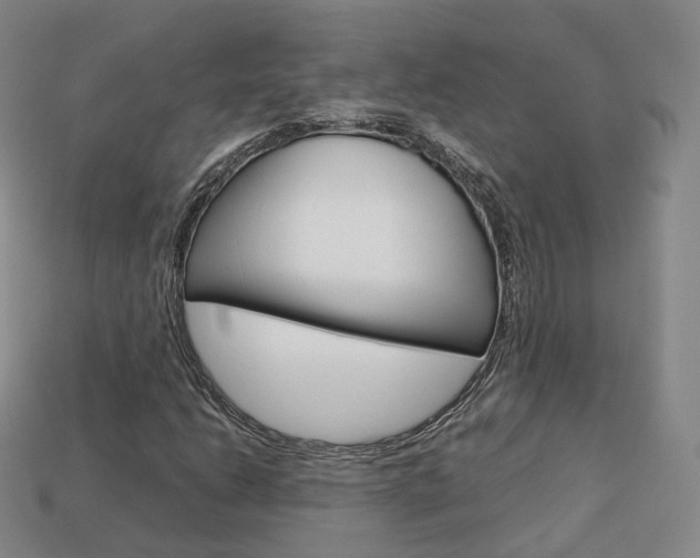 X0000113751206200909230959