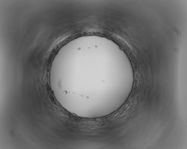 X0000113751207200909230959