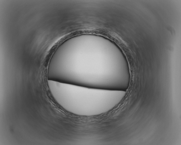 X0000113751208200909230959