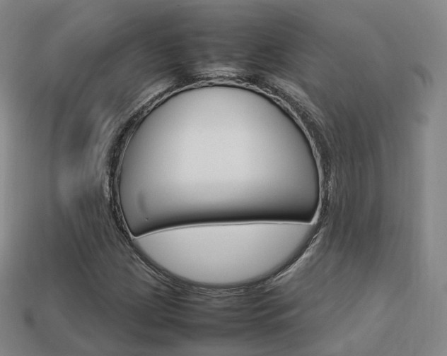 X0000113751209200909230959