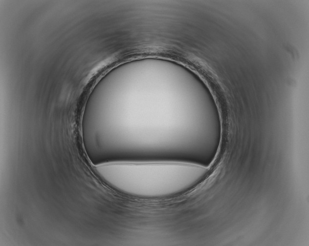 X0000113751210200909230959