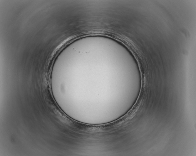 X0000113751212200909230959