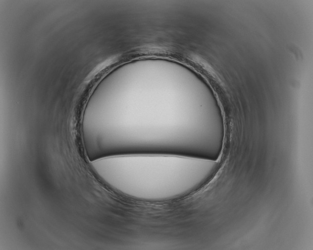 X0000113751213200909230959