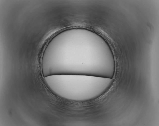 X0000113751215200909230959