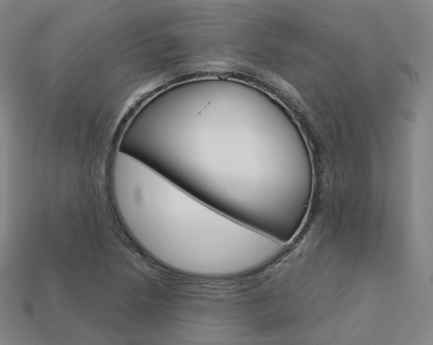 X0000113751218200909230959