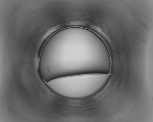 X0000113751221200909230959