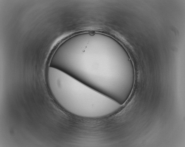 X0000113751222200909230959