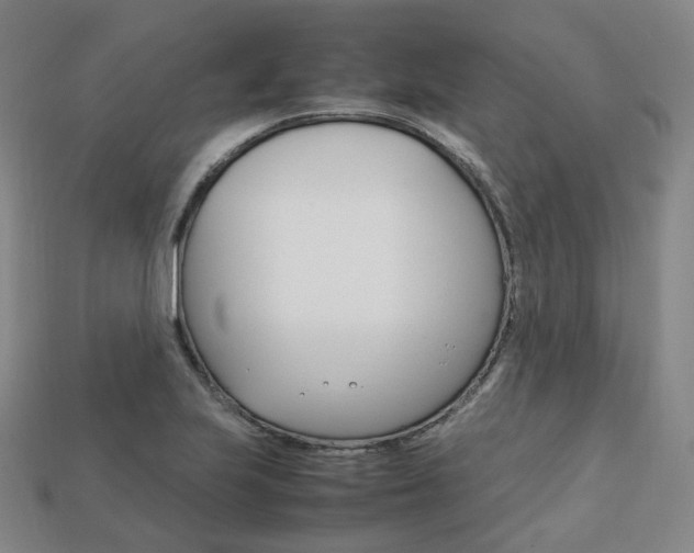 X0000113751223200909230959