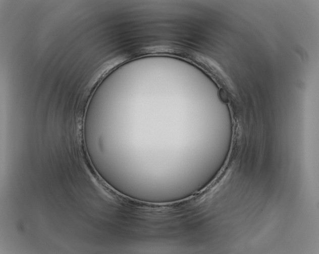 X0000113751225200909230959
