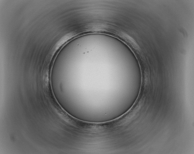 X0000113751226200909230959