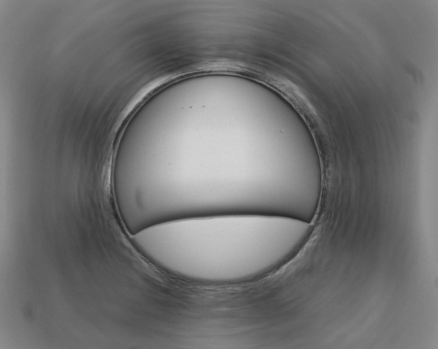 X0000113751228200909230959