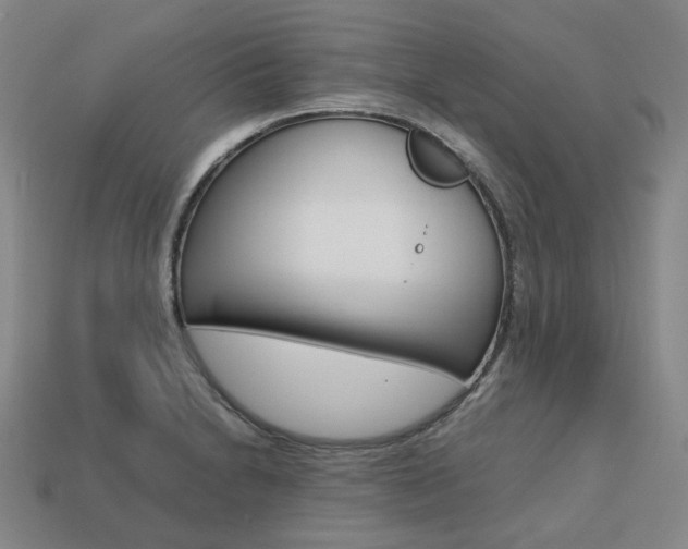 X0000113751230200909230959