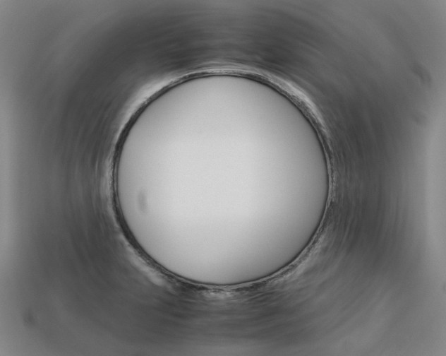 X0000113751231200909230959