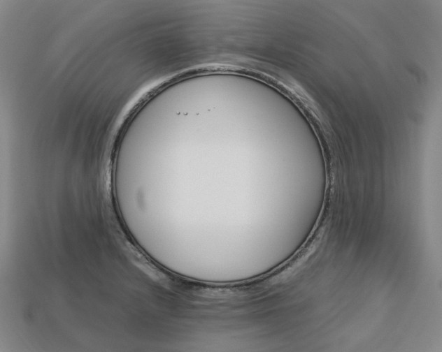 X0000113751232200909230959