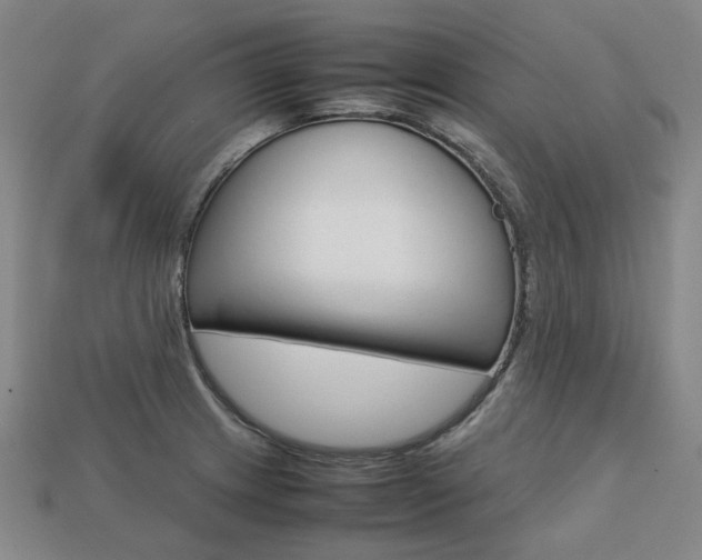 X0000113751233200909230959