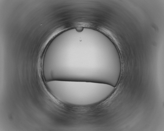 X0000113751235200909230959