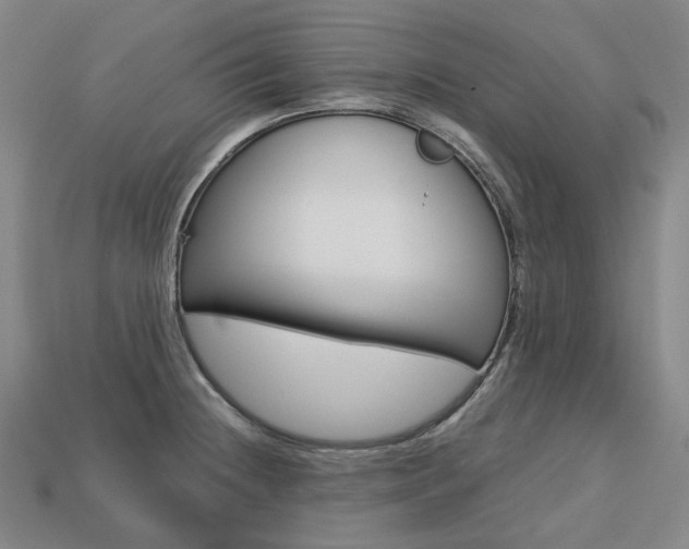 X0000113751236200909230959