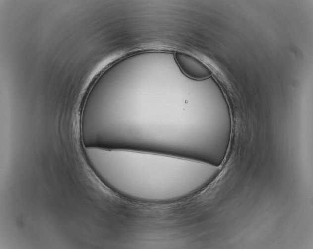 X0000113751238200909230959