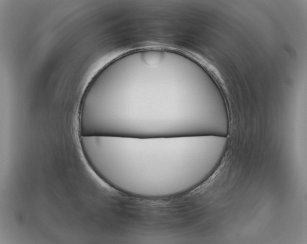 X0000113751239200909230959