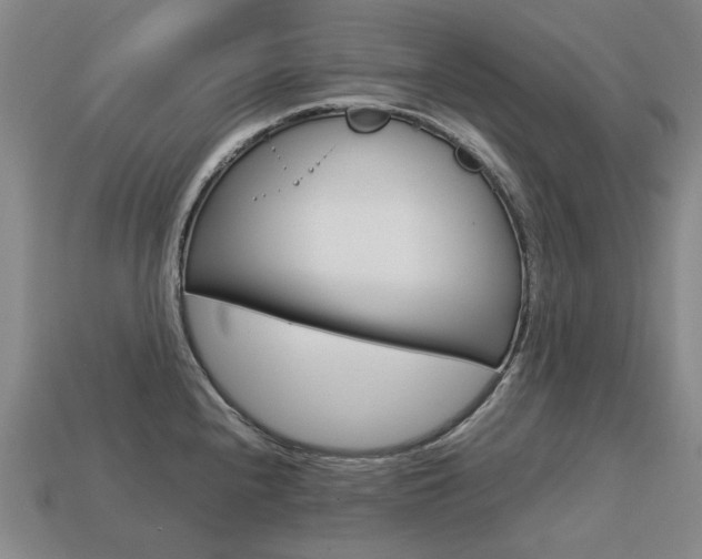 X0000113751240200909230959