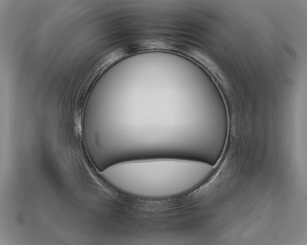 X0000113751241200909230959