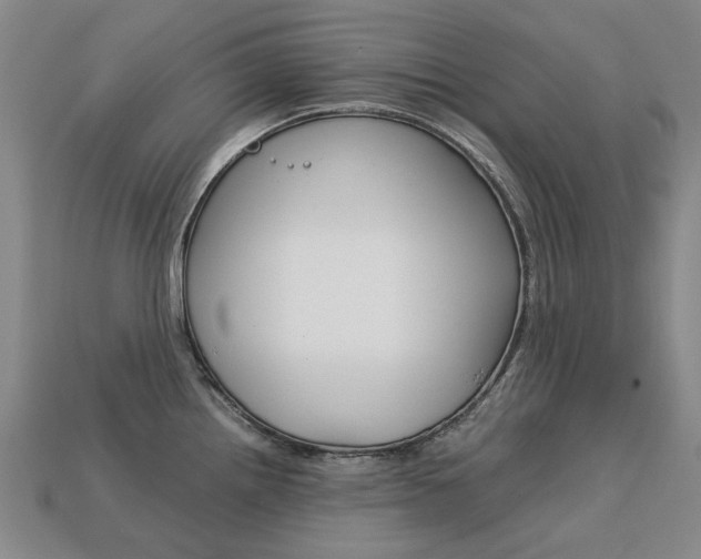 X0000113751242200909230959