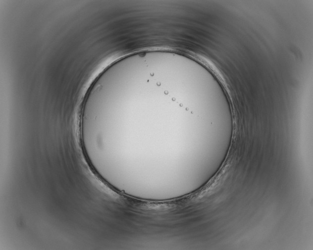 X0000113751243200909230959